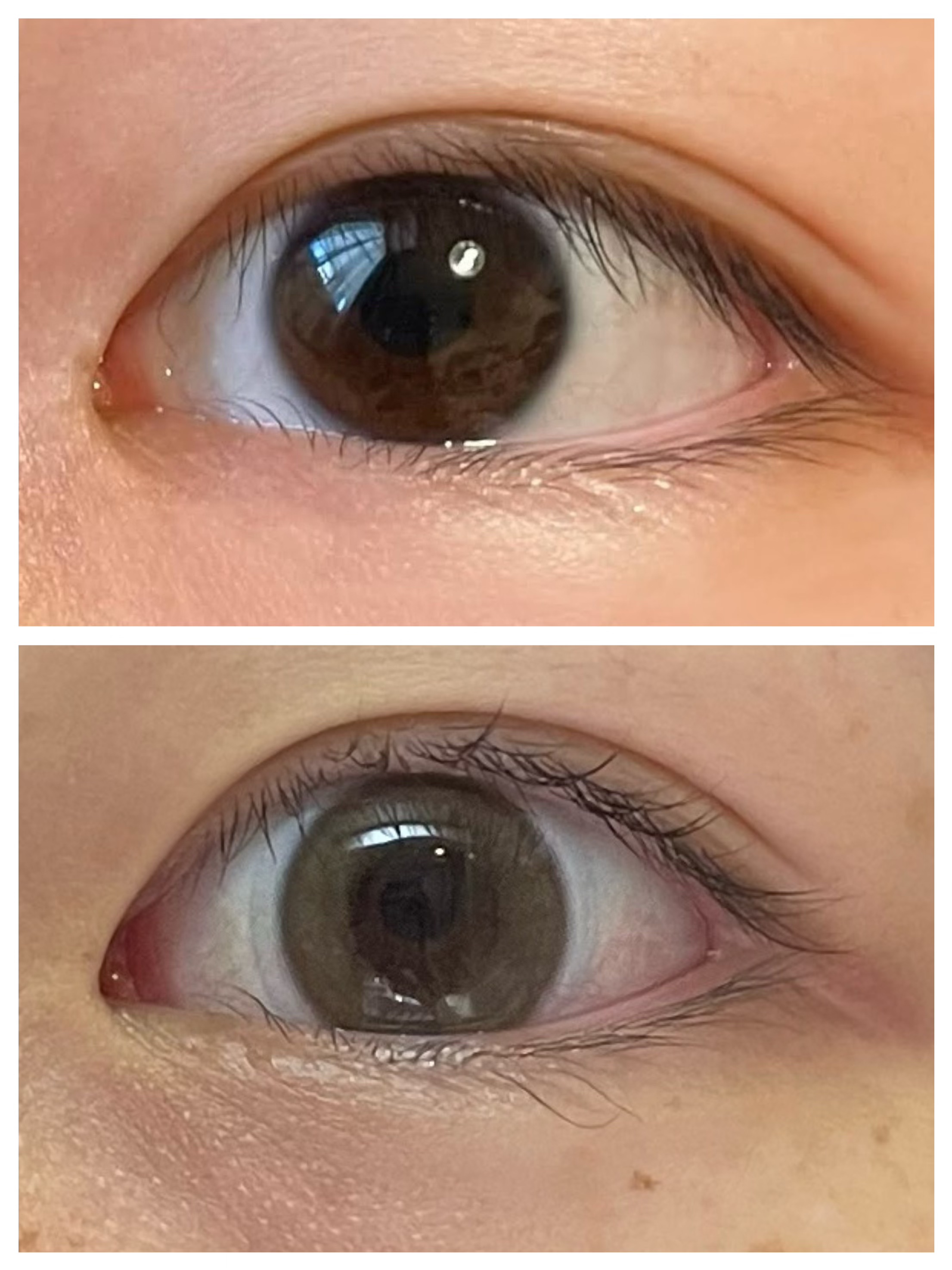 WANAF 1day グラスミラー(GLASS MIRROR)/WANAF/ワンデー（１DAY）カラコンを使ったクチコミ（2枚目）