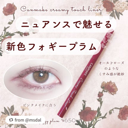 クリーミータッチライナー/キャンメイク/ジェルアイライナーを使ったクチコミ(1枚目)