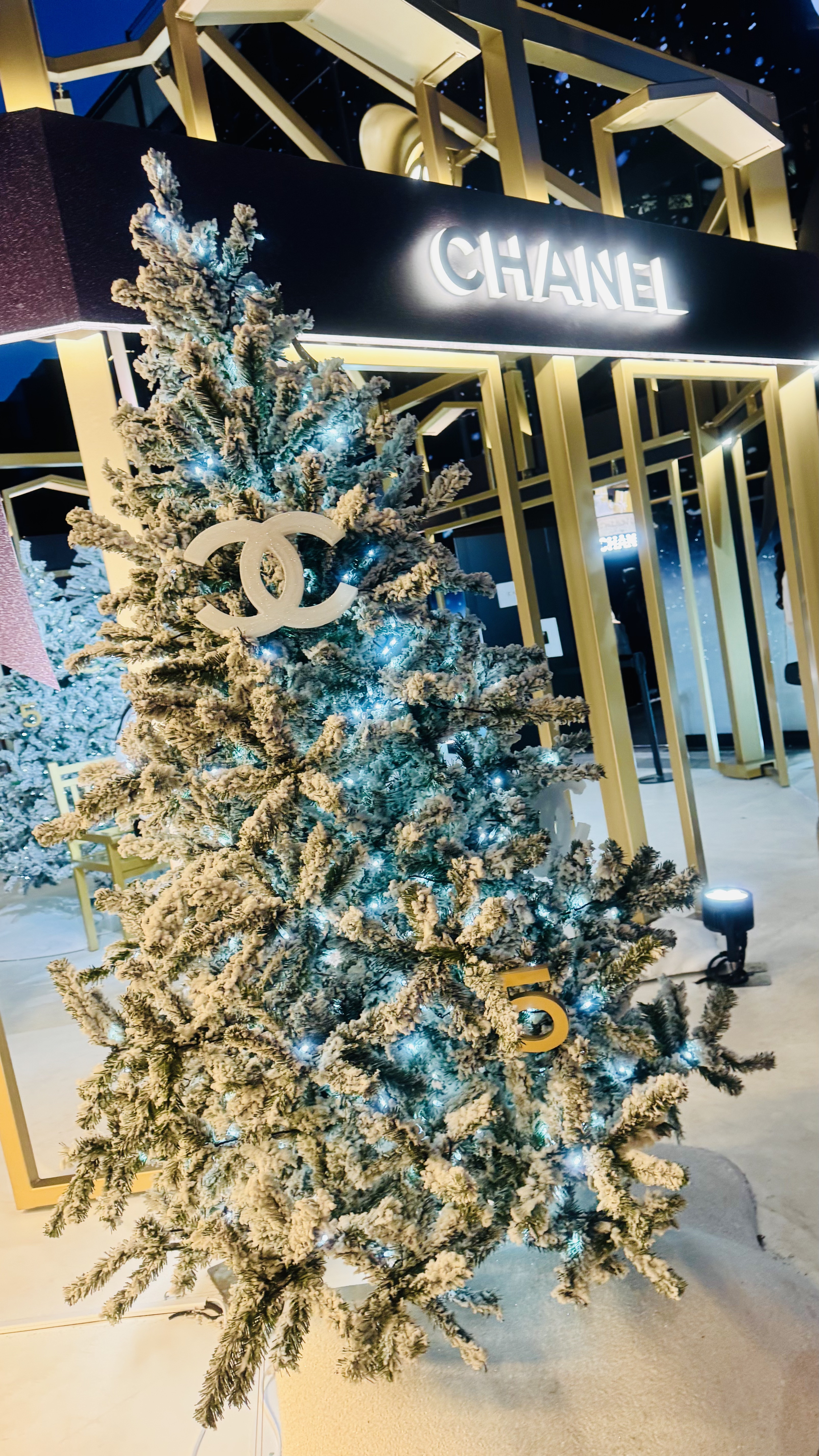 シャネル N°5 オードゥ パルファム (ヴァポリザター)/CHANEL/香水(レディース)を使ったクチコミ（1枚目）