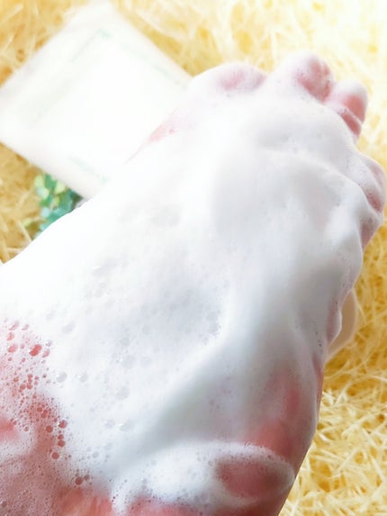 グリーンティー アミノ クレンジングフォーム/innisfree/洗顔フォームを使ったクチコミ(6枚目)