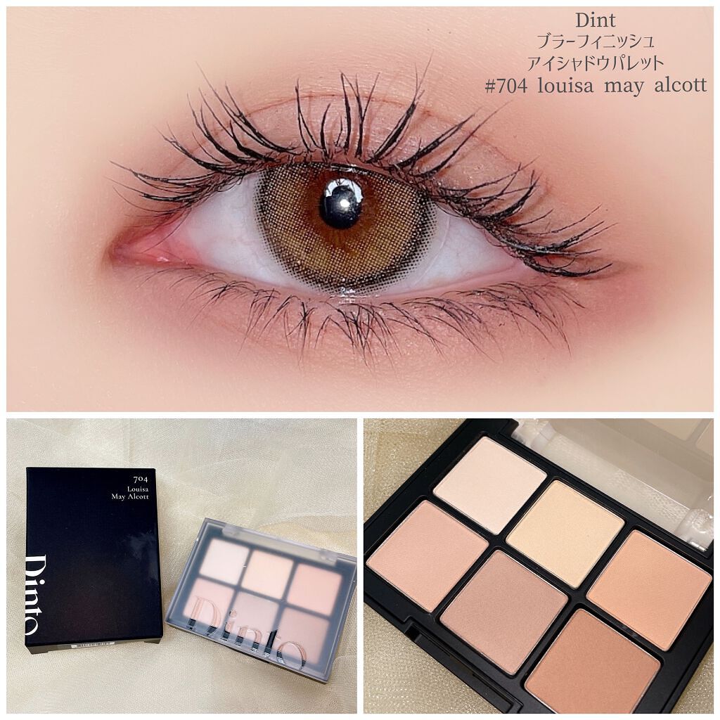 ブラーフィニシュシャドウパレット/Dinto/アイシャドウパレットを使ったクチコミ(1枚目)