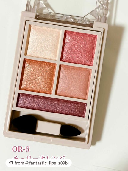 パノラマデザイン アイパレット/Visée/アイシャドウパレットを使ったクチコミ(2枚目)