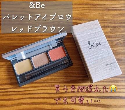 パレットアイブロウ/&be/パウダーアイブロウを使ったクチコミ(1枚目)