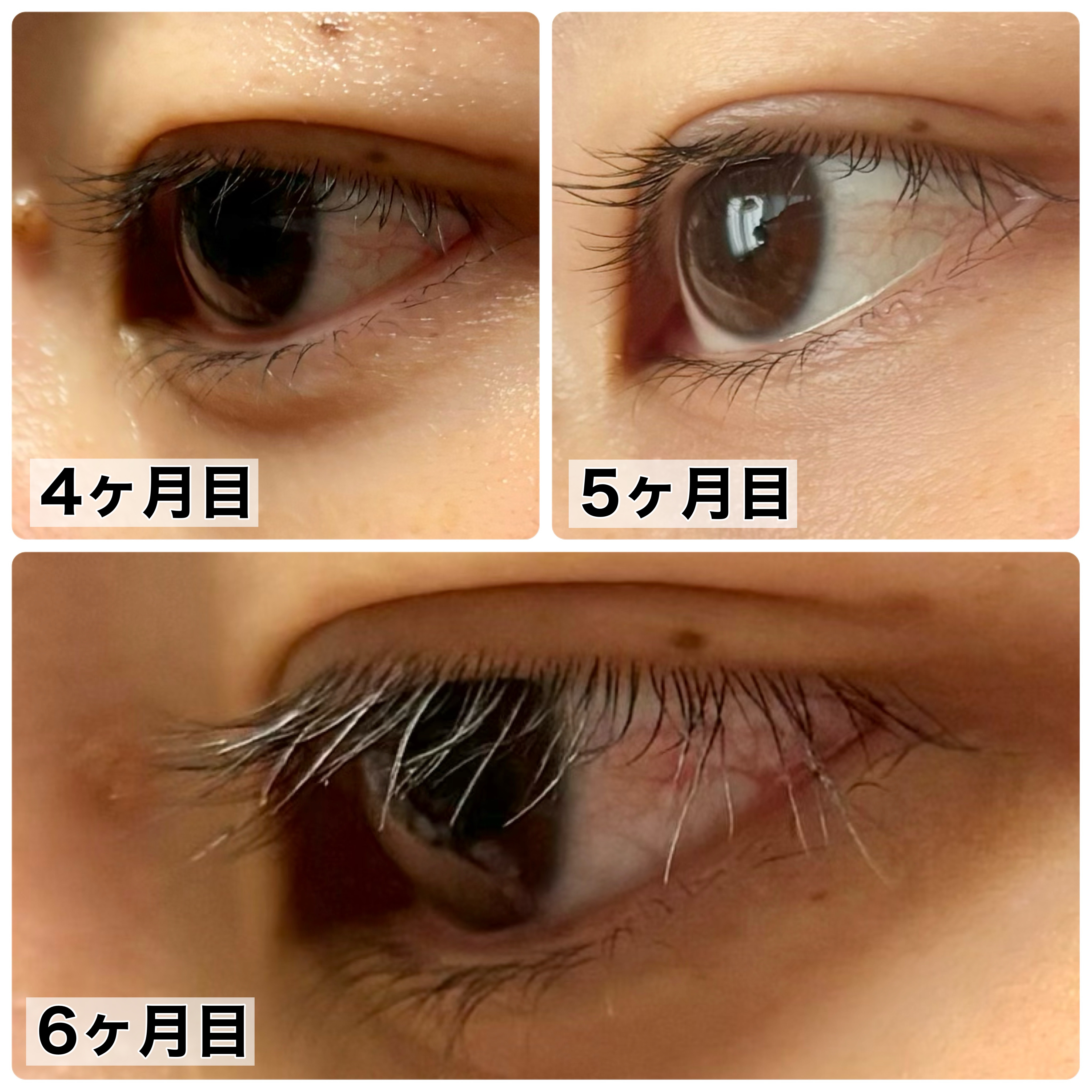 ラッシュルーティーン/キャンメイク/まつげ美容液を使ったクチコミ（3枚目）