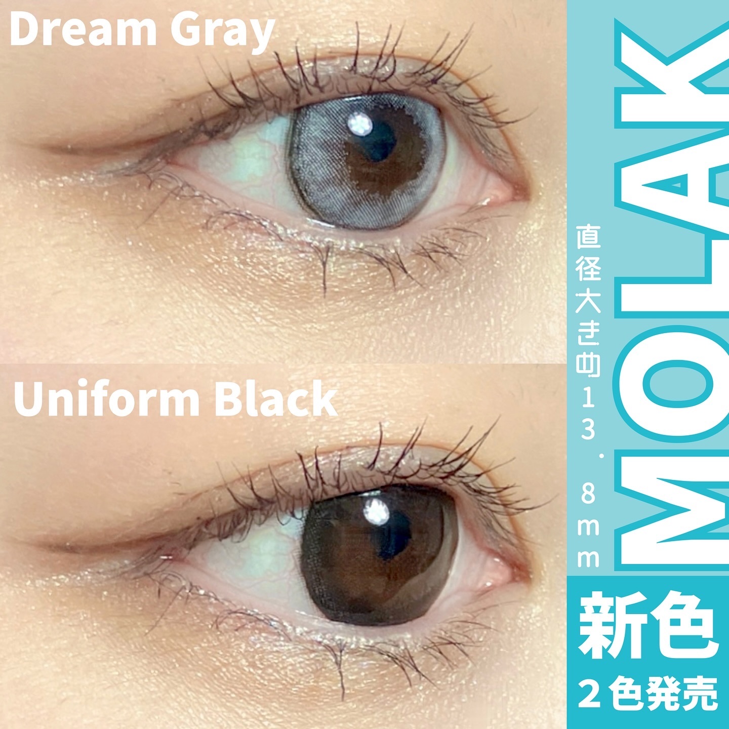 MOLAK 1day/MOLAK/ワンデー（１DAY）カラコンを使ったクチコミ（1枚目）