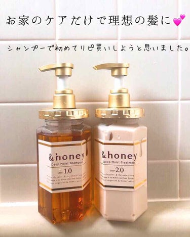 ディープモイスト シャンプー1.0／ヘアトリートメント2.0/&honey/シャンプー・コンディショナーを使ったクチコミ（1枚目）