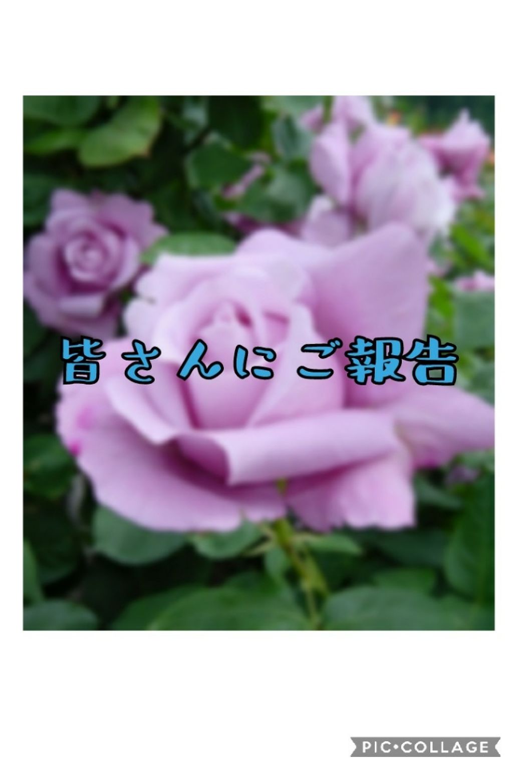 Rose0116ð¹ on LIPS ãããŸããã®åŒéïŒïŒçãããå
æ°ã§ïŒãçããããã«ã¡ã¯ïŒããŒãºã§..ãïŒ1æç®ïŒ