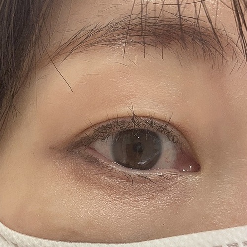 ジュエルアイカラーコレクション/Armuje/アイシャドウパレットを使ったクチコミ（2枚目）