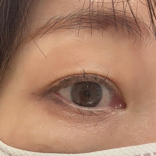 ジュエルアイカラーコレクション/Armuje/アイシャドウパレットを使ったクチコミ(2枚目)