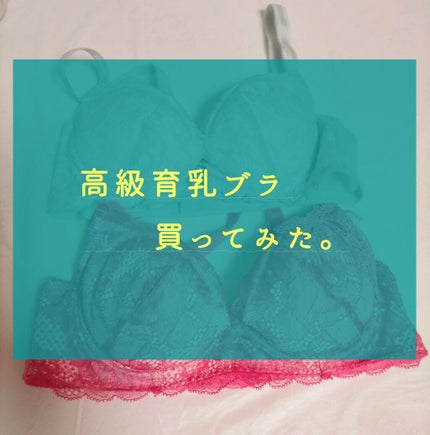 Medb on LIPS 「こんにちは𓂃𓈒🥀✯今回は育乳ブラという物を購入したので、まだ使..」(1枚目)