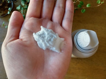 ディズム クリーミーフォームウォッシュ/DISM/泡洗顔を使ったクチコミ(4枚目)