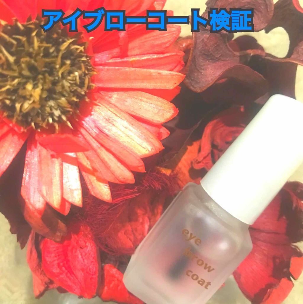 エバビレーナ アイブローコート/DAISO/アイブロウコートを使ったクチコミ（1枚目）