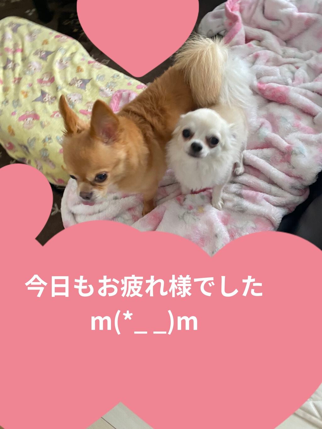 美容液マスクプライマー<クリアパープル>/Borica/化粧下地を使ったクチコミ(6枚目)