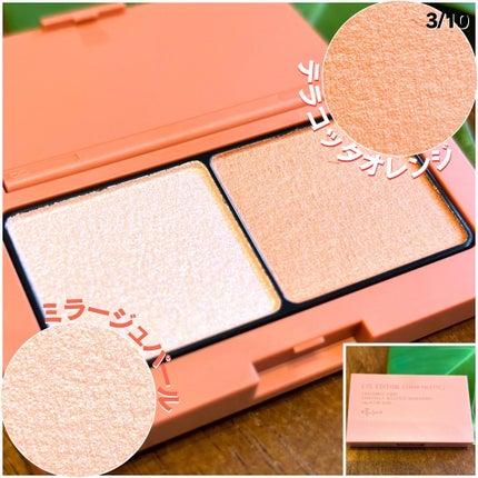 エテュセ アイエディション(カラーパレット)/ettusais/アイシャドウパレットを使ったクチコミ(3枚目)