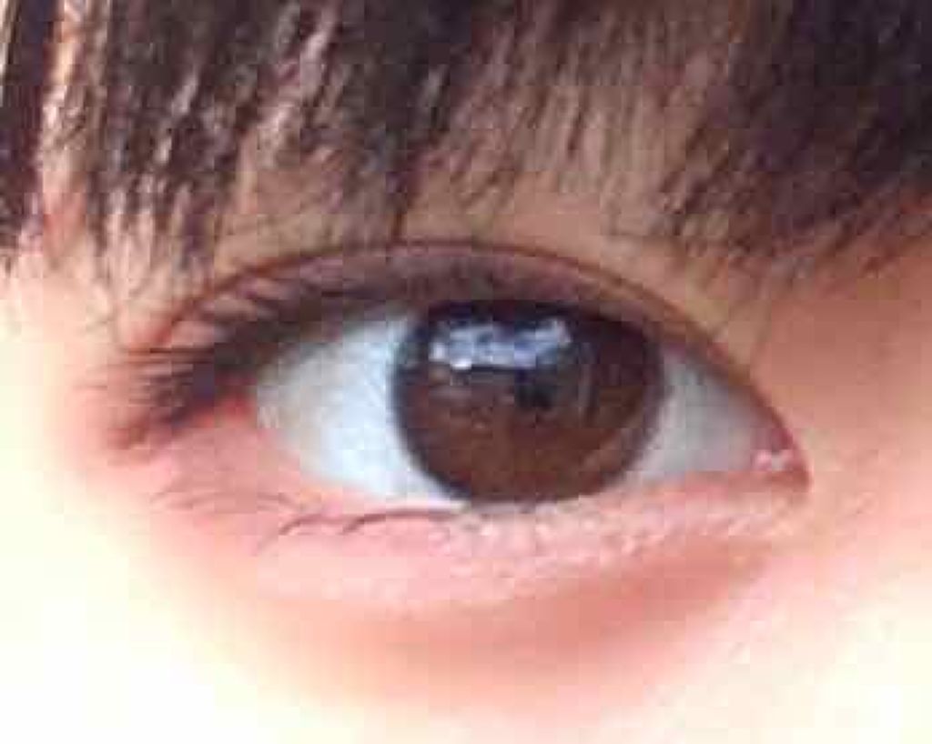 ダブルニーズ パンパンマスカラ 04 ブラウン/TONYMOLY/マスカラを使ったクチコミ(4枚目)