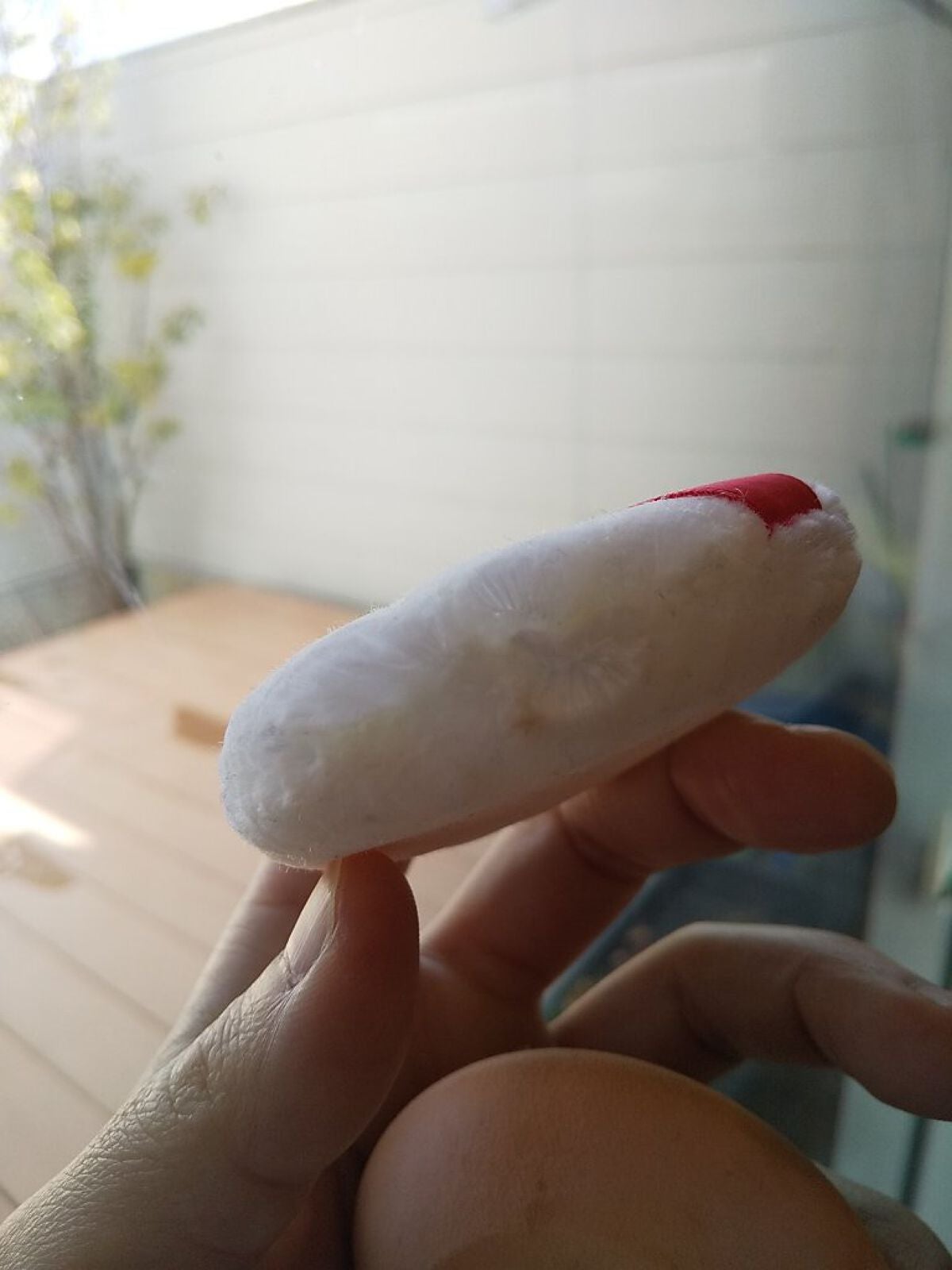 スムースフィットスポンジ/ロージーローザ/パフ・スポンジを使ったクチコミ(2枚目)