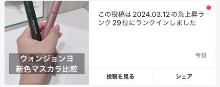 ウォンジョンヨ ヌードアイラッシュ/Wonjungyo/マスカラを使ったクチコミ(4枚目)