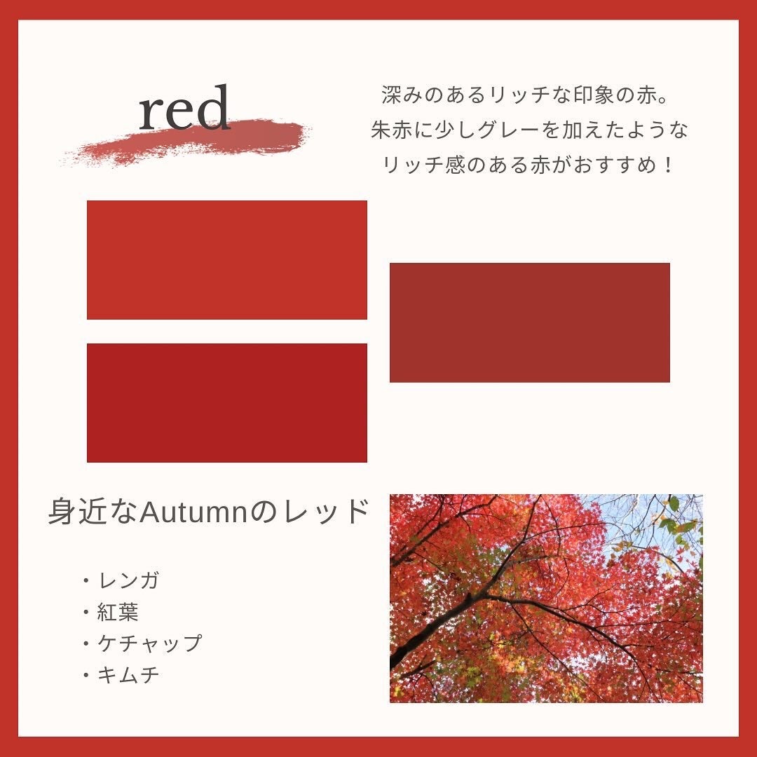 Yuno/新宿/パーソナルカラー診断 on LIPS 「【パーソナルカラーAutumn】色の選び方🍵🍃今回はオータムタ..」(4枚目)