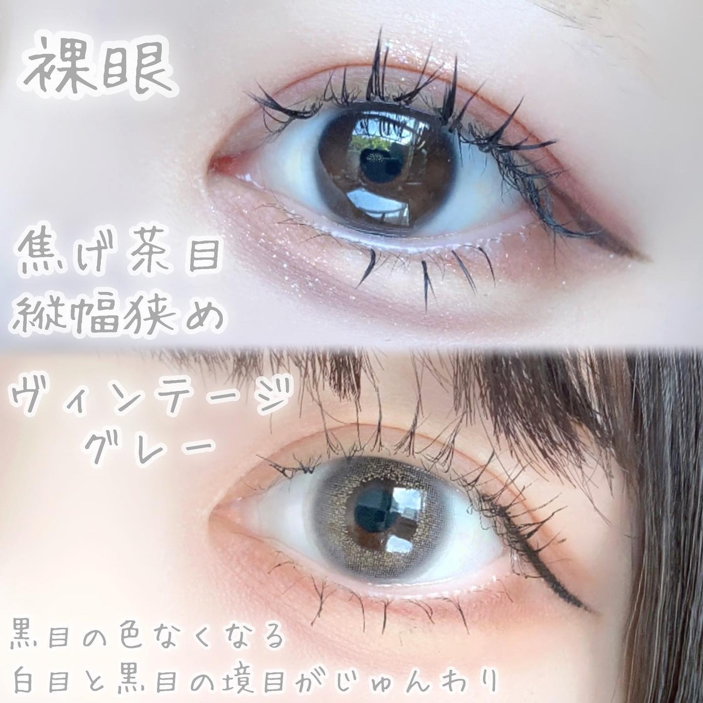 Angelcolor Bambi Series Vintage 1day/AngelColor/ワンデー(1DAY)カラコンを使ったクチコミ(5枚目)