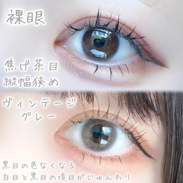 Angelcolor Bambi Series Vintage 1day ヴィンテージグレー/AngelColor/ワンデー（１DAY）カラコンの画像