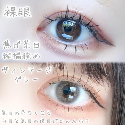 Angelcolor Bambi Series Vintage 1day/AngelColor/ワンデー(1DAY)カラコンを使ったクチコミ(5枚目)