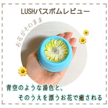 
LUSHのバスボムに最近ハマっているので
何個か紹介していきます🕊
今回はPart1で
大きなお花が可愛いこちらのバスボムです↓


«商品»
LUSH
フローティングフラワー(バスボム)

«見た目