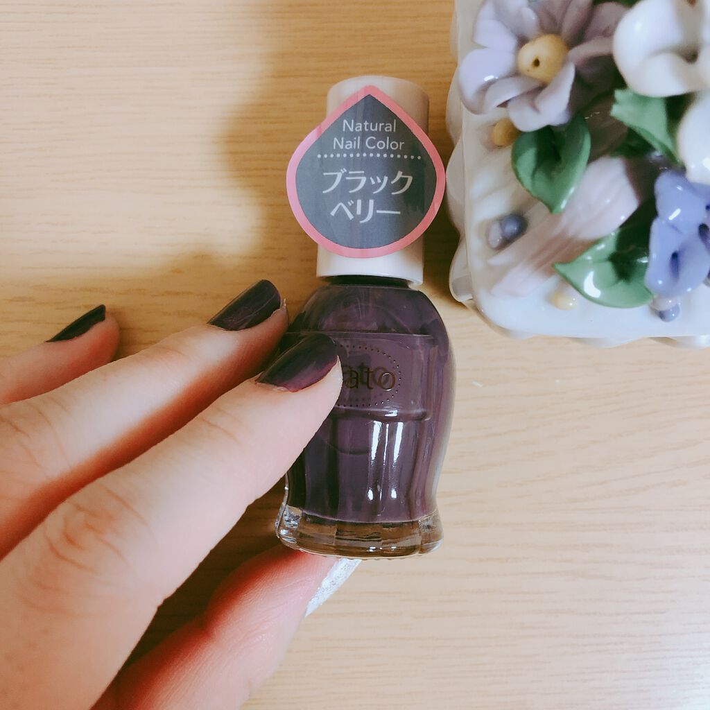 ナチュラルネイルカラーN/デュカート/マニキュアを使ったクチコミ(2枚目)