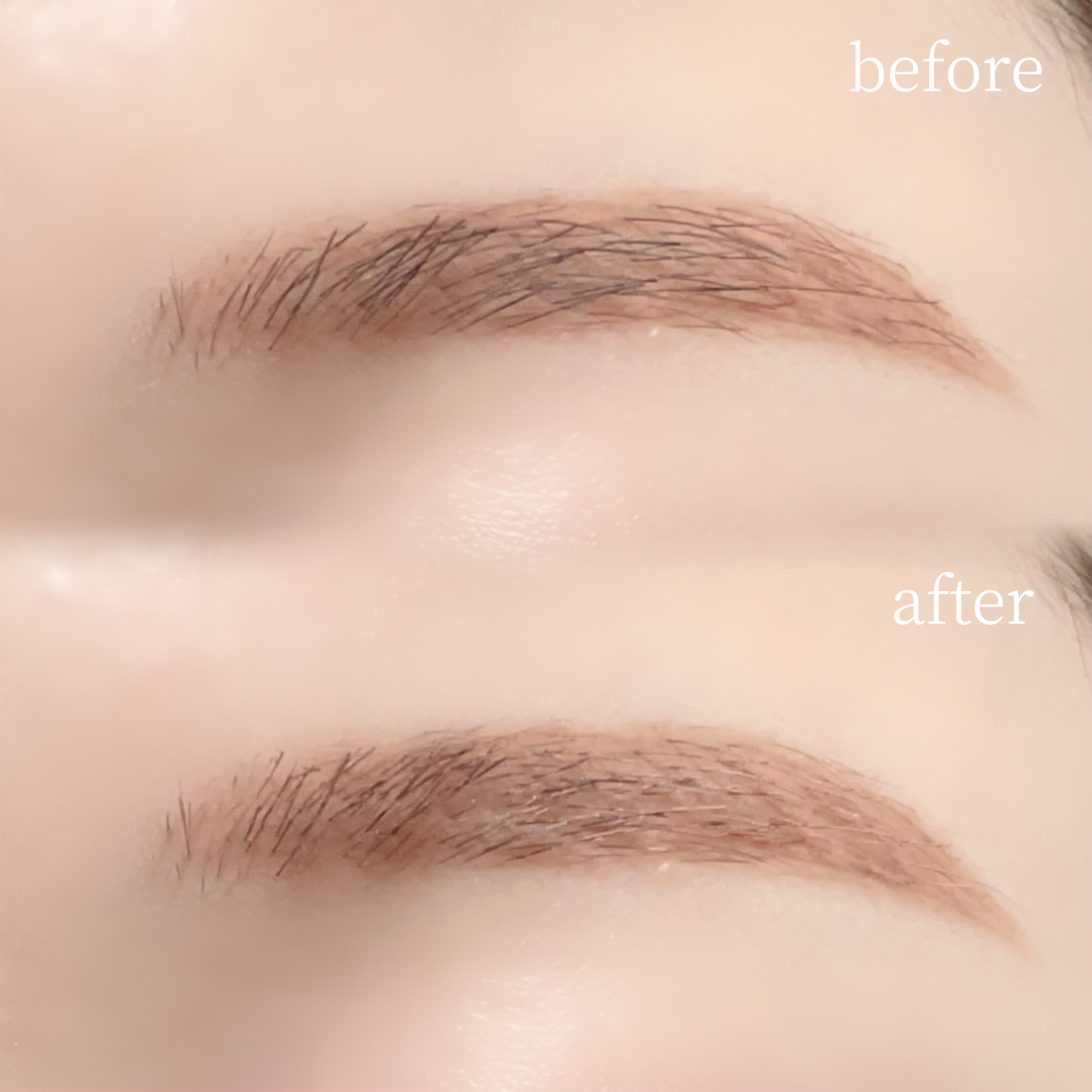 ヘビーローテーション カラーリングアイブロウEX/ヘビーローテーション/眉マスカラを使ったクチコミ（3枚目）