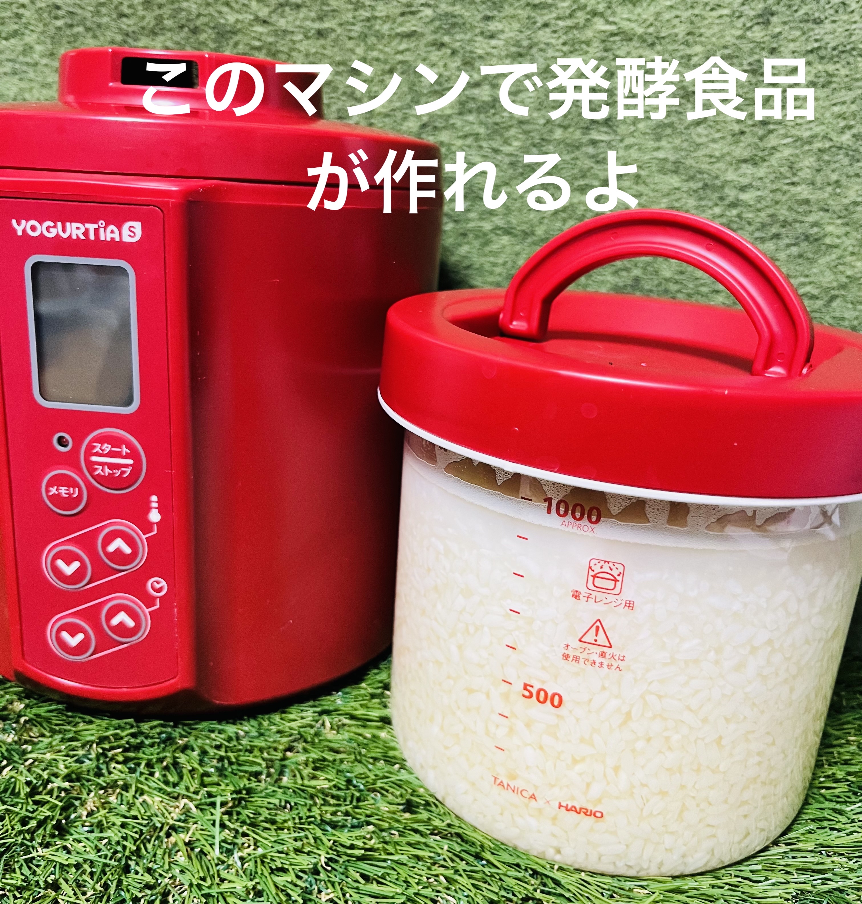 YOGURTIA S/TANICA/その他を使ったクチコミ（2枚目）