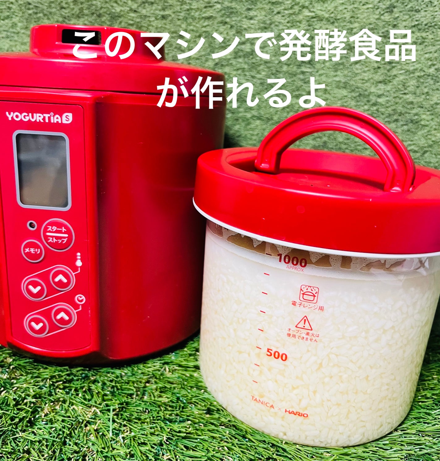 YOGURTIA S/TANICA/その他を使ったクチコミ(2枚目)