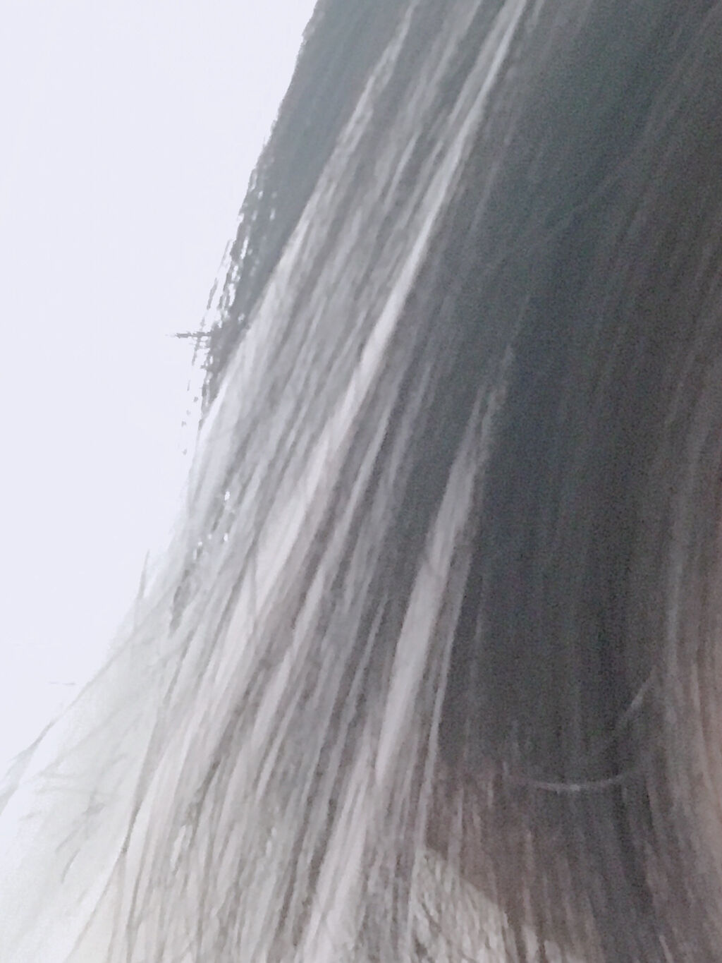 グラデーションエクステ/セリア/ヘアケアグッズを使ったクチコミ（3枚目）