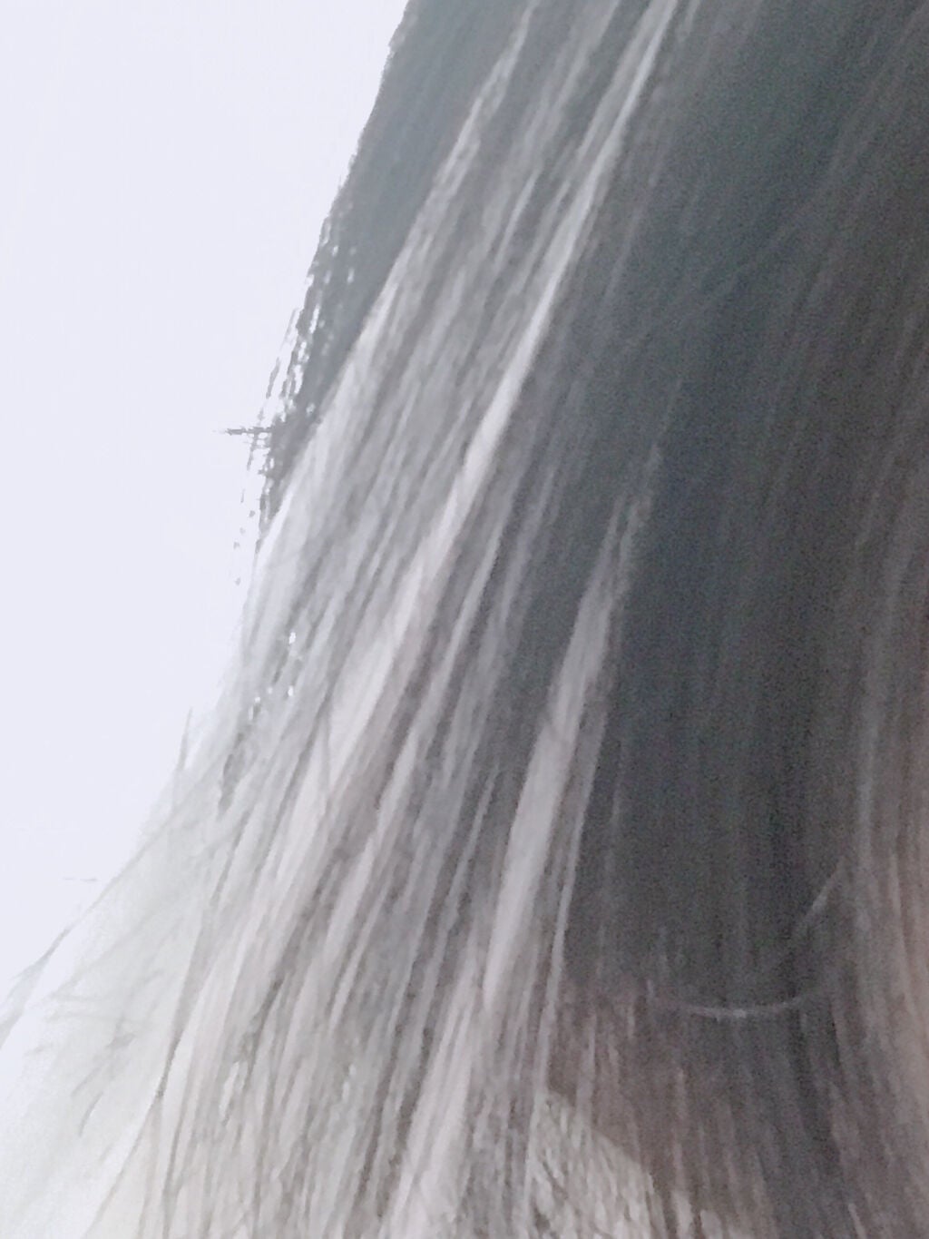 グラデーションエクステ/セリア/ヘアケアグッズを使ったクチコミ(3枚目)