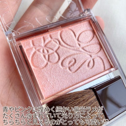 パールグロウニュアンサー/CEZANNE/パウダーハイライトを使ったクチコミ(3枚目)