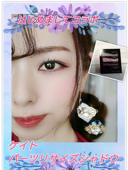 パーツリサイズシャドウ/KATE/アイシャドウパレットを使ったクチコミ(1枚目)