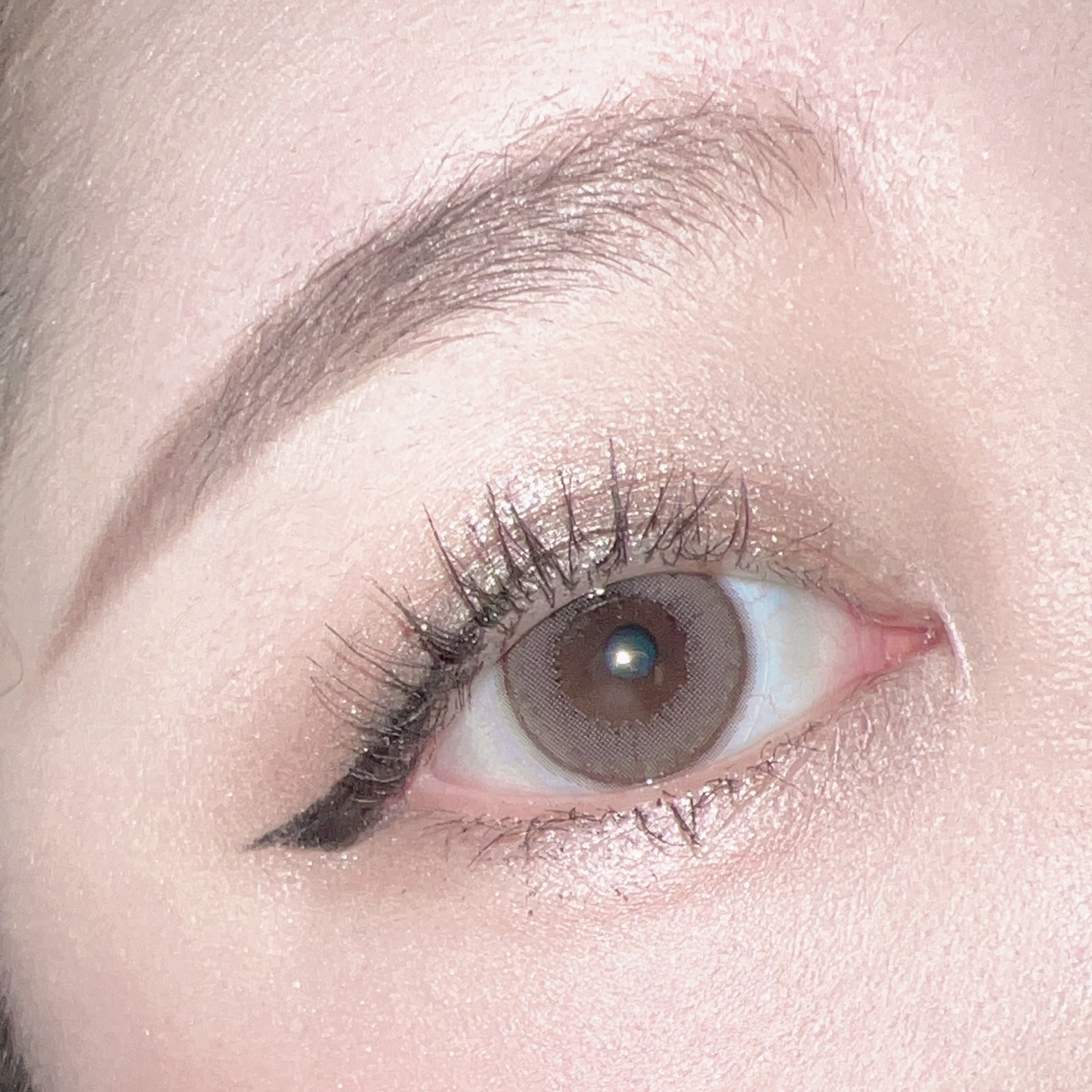 エバーカラーワンデー ナチュラル/エバーカラー/ワンデー（１DAY）カラコンを使ったクチコミ（1枚目）