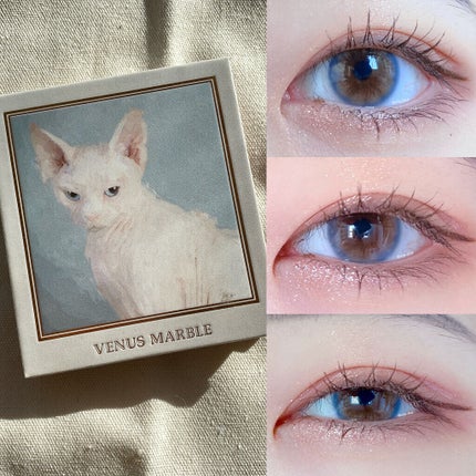 Venus Marble アイシャドウキャットシリーズ/Venus Marble/アイシャドウパレットを使ったクチコミ(6枚目)