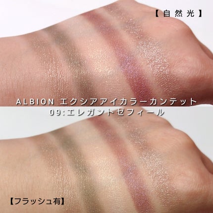 エクシア アイカラー カンテット 10 アリューリングハーモニー /ALBION/アイシャドウパレットの画像