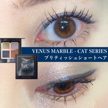 Venus Marble アイシャドウキャットシリーズ/Venus Marble/アイシャドウパレットを使ったクチコミ（1枚目）