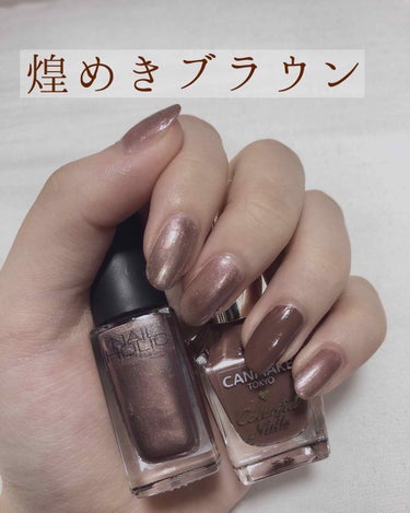 ネイルホリック Earth color BR307/ネイルホリック/マニキュアを使ったクチコミ（1枚目）