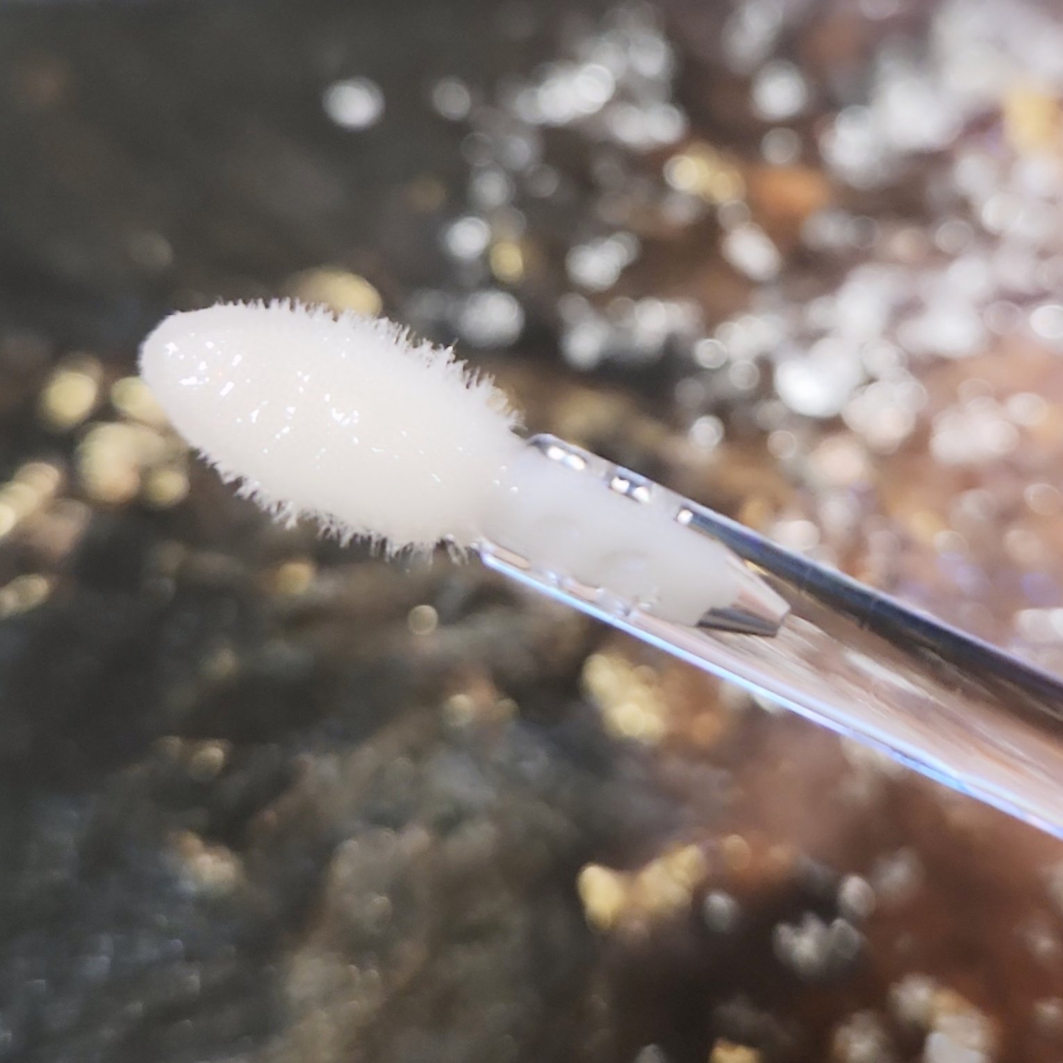 エクストラ プランプ リップ セラム 01 ベアピンク/BOBBI BROWN/リップグロスを使ったクチコミ（2枚目）