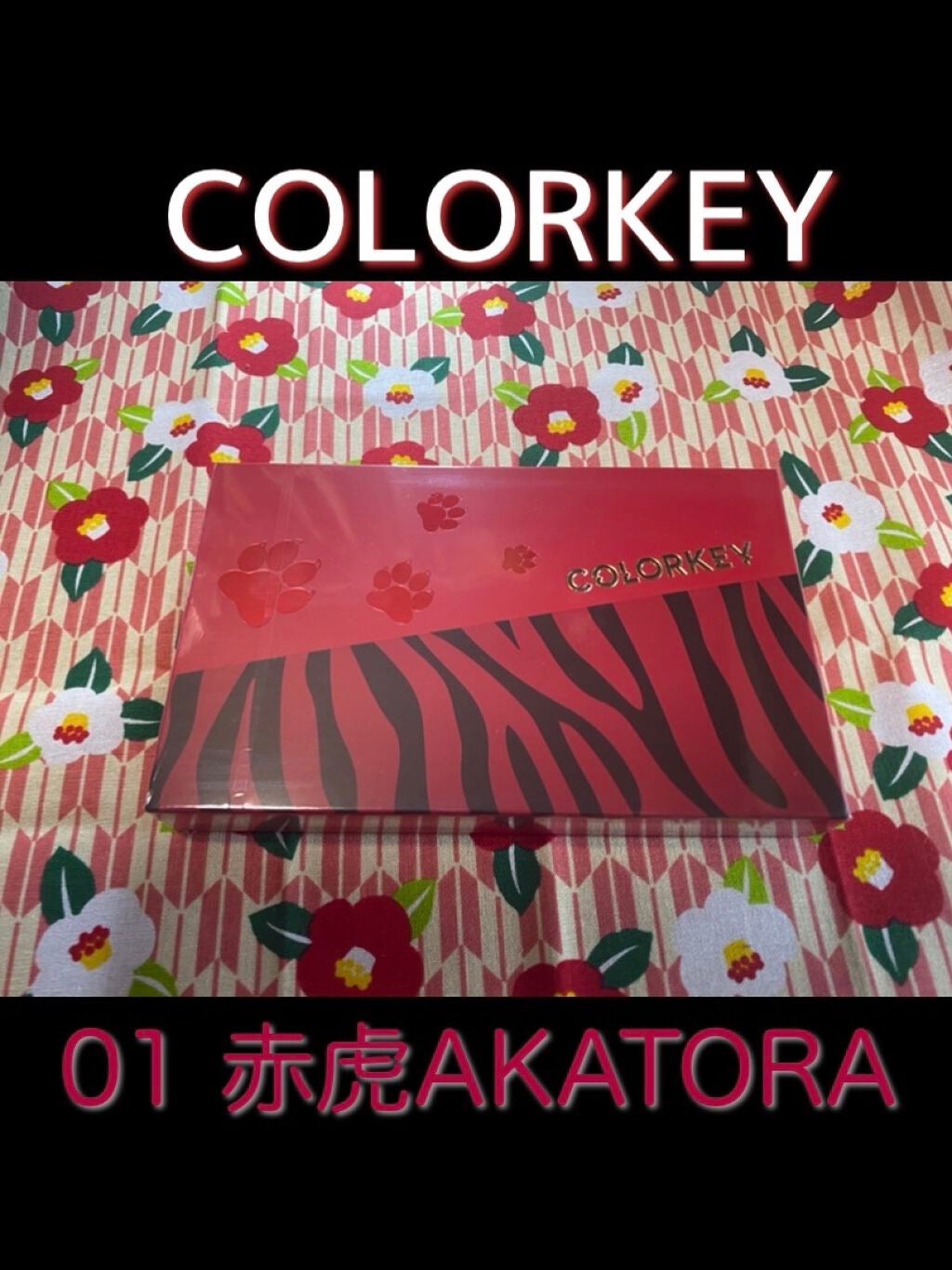 トラ十色アイシャドウパレット/COLORKEY/アイシャドウパレットを使ったクチコミ(1枚目)