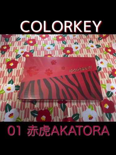 トラ十色アイシャドウパレット/COLORKEY/アイシャドウパレットを使ったクチコミ（1枚目）