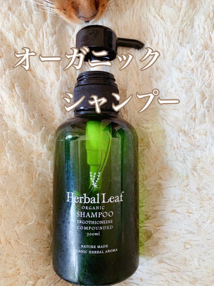 オーガニックシャンプー/コンディショナー/ハーバルリーフ/市販シャンプーを使ったクチコミ(1枚目)