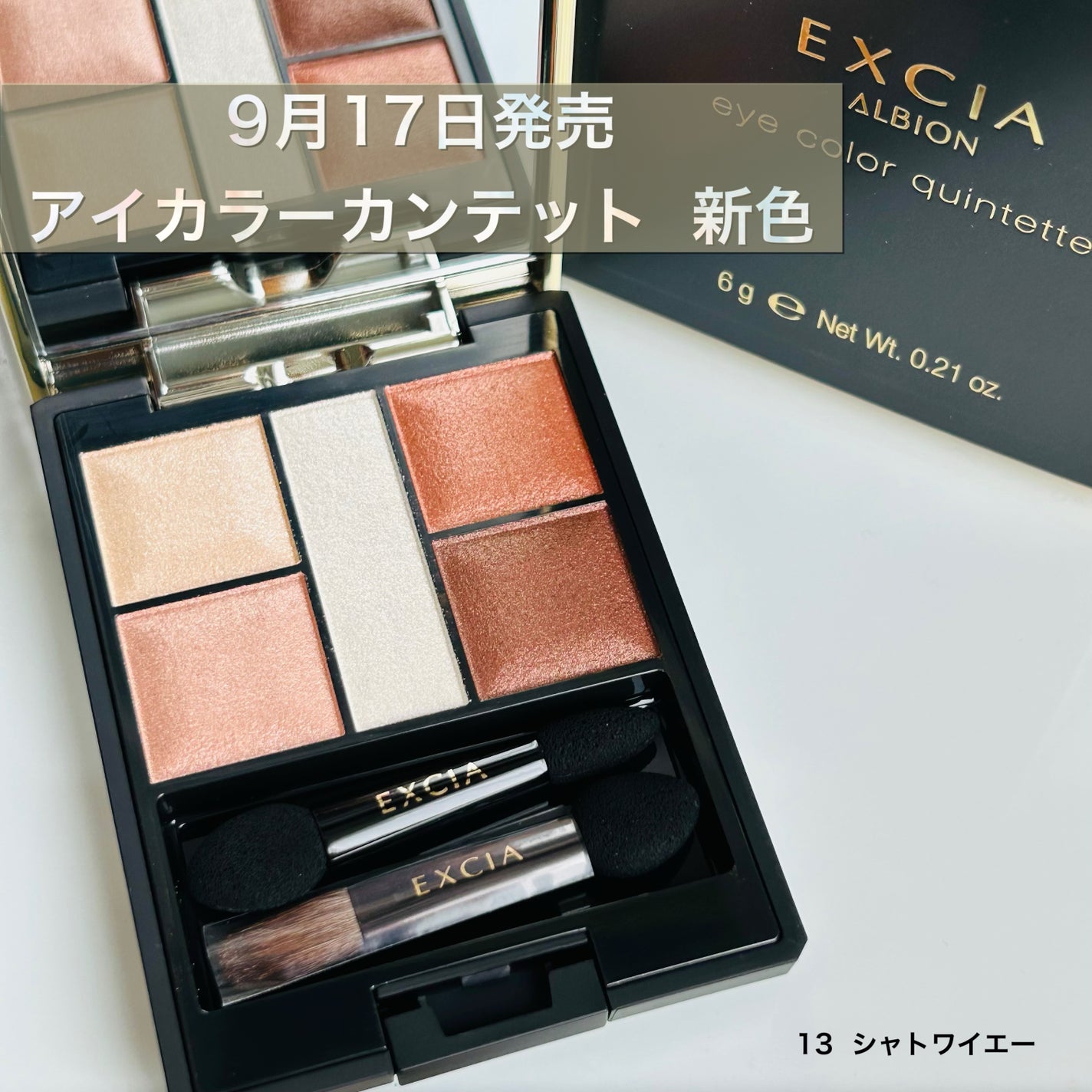 エクシア アイカラー カンテット/ALBION/アイシャドウパレットを使ったクチコミ(1枚目)