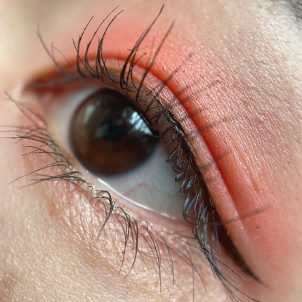 レイヤードカラーズアイシャドウ/KANEBO/アイシャドウパレットを使ったクチコミ(2枚目)