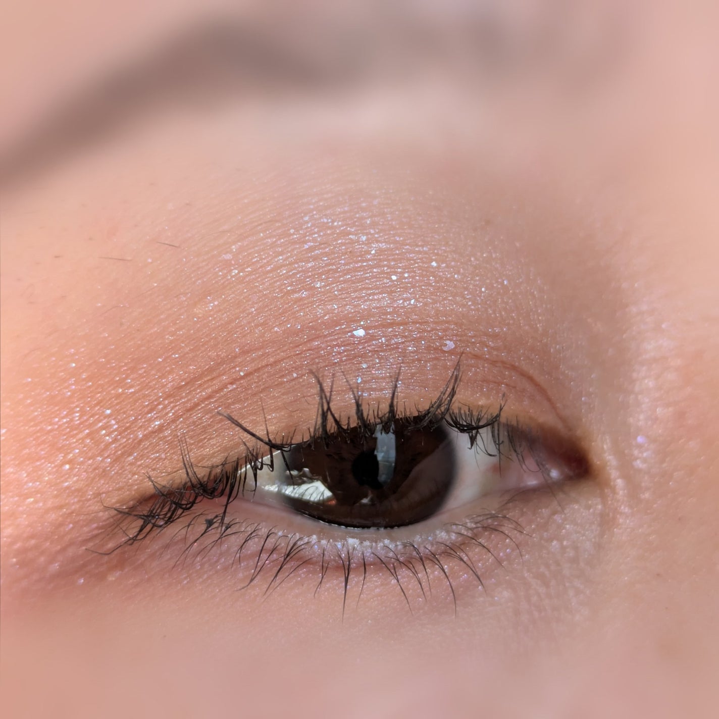 カラードシャドウ/KANEBO/アイシャドウパレットを使ったクチコミ(6枚目)