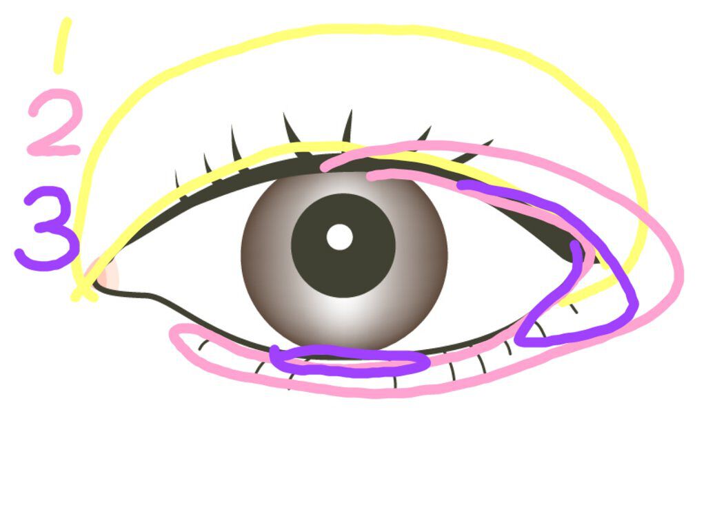 トーンアップアイシャドウ/CEZANNE/アイシャドウパレットを使ったクチコミ（1枚目）