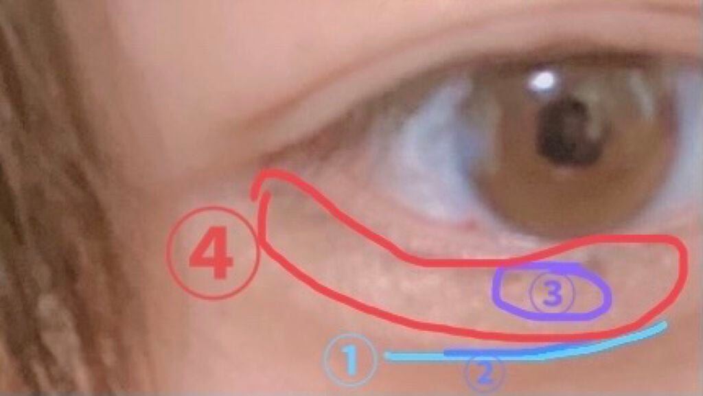 UR GLAM BLOOMING EYE COLOR PALETTE/U R GLAM/アイシャドウパレットを使ったクチコミ(4枚目)