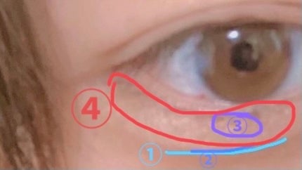 UR GLAM BLOOMING EYE COLOR PALETTE/U R GLAM/アイシャドウパレットを使ったクチコミ(4枚目)