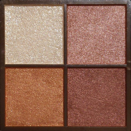 ニュアンスオンアイシャドウ/CEZANNE/アイシャドウパレットを使ったクチコミ(2枚目)